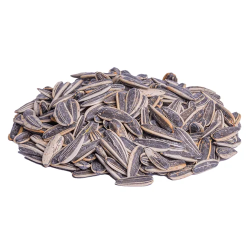 تخمه گل آفتاب بوداده نمکی