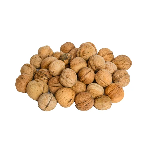 گردو باپوست ایرانی