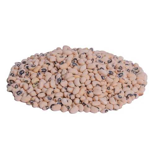 لوبیا چشم بلبلی