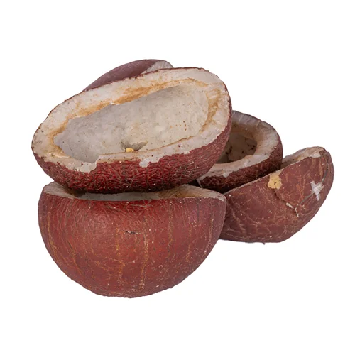 نارگیل کاسه ای