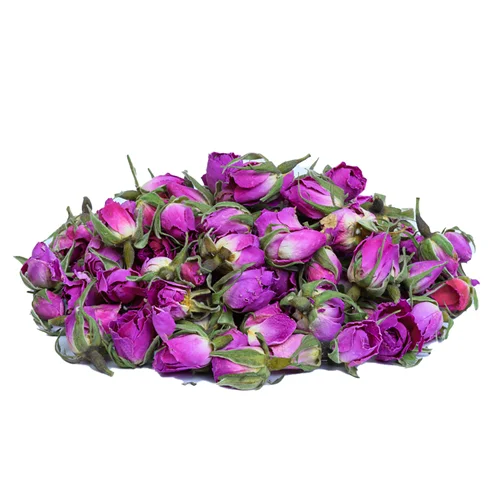 غنچه گل محمدی