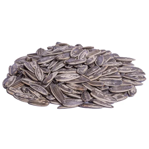 تخمه گل آفتاب آب پز