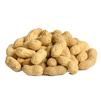 بادام زمینی باپوست خام