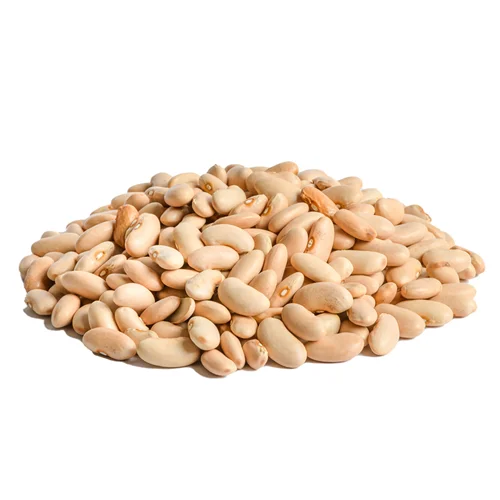 لوبیا شمالی